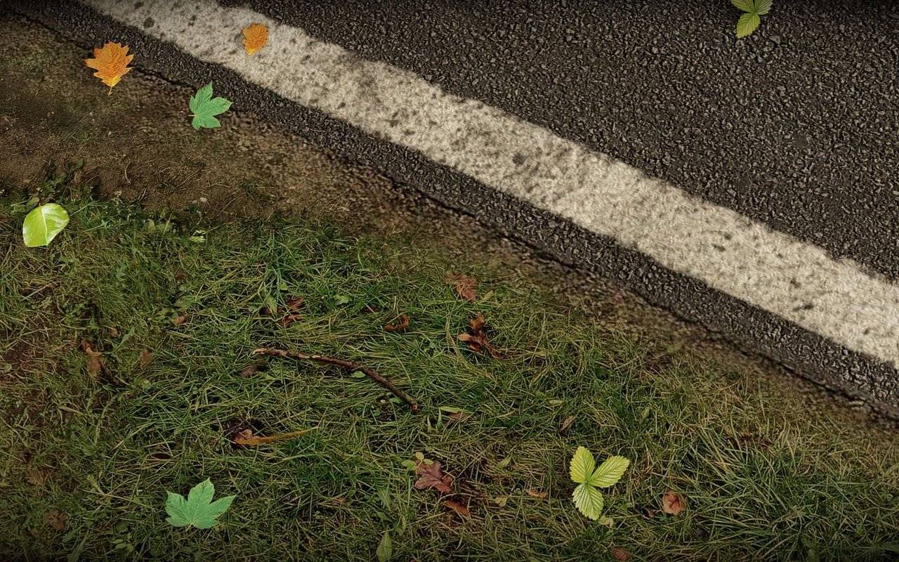 Project Cars - Imagen 41